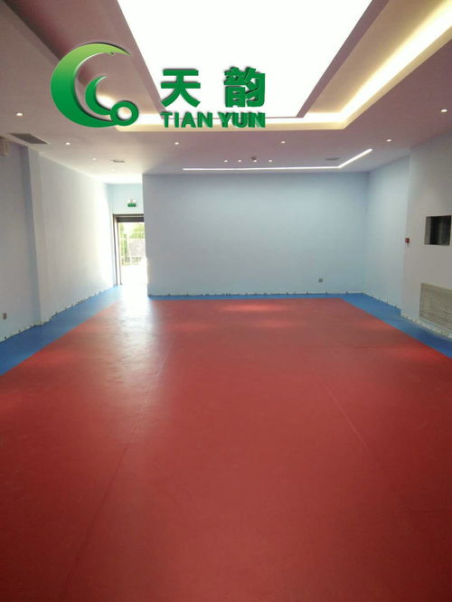 遼寧天韻塑膠地板批發運動塑膠地板批發