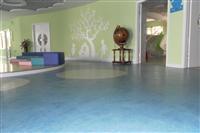 幼兒園專(zhuān)用塑膠地板 &ndash; 產(chǎn)品展示 - 